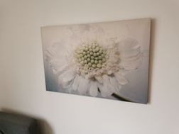 Photo n°3