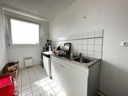 Photo n°4