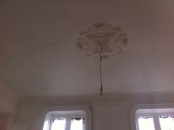 Photo n°7