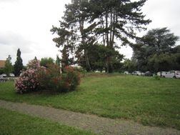 Photo n°5