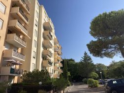 Photo n°1