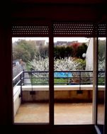 Photo n°2