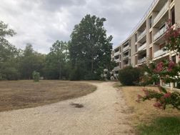 Photo n°1