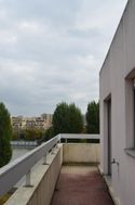 Photo n°8