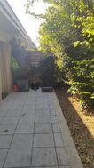 Photo n°1
