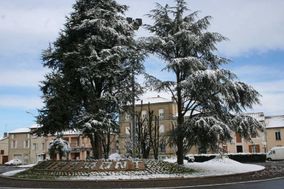 Photo n°2