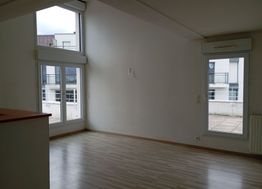 Photo n°2