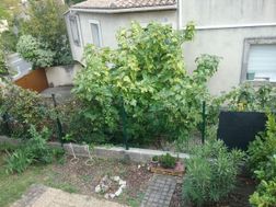 Photo n°7
