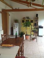 Photo n°4