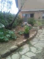 Photo n°1