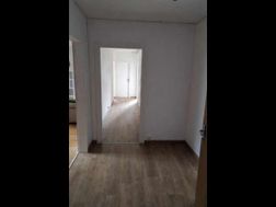 Photo n°2