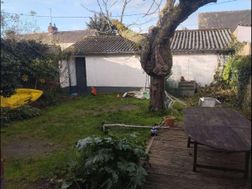 Photo n°6
