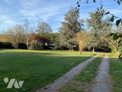 Photo n°15