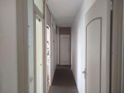 Photo n°6