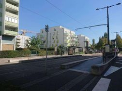 Photo n°10