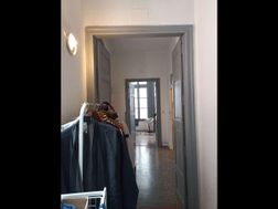 Photo n°8