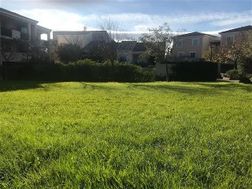 Photo n°1