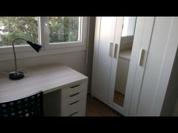 Photo n°4