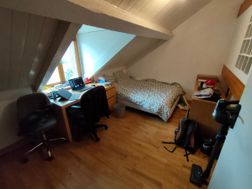 Photo n°6