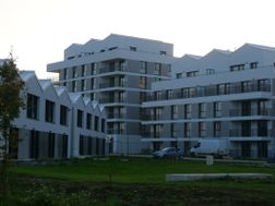 Photo n°1