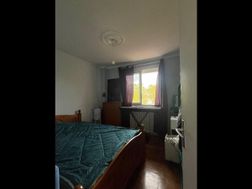 Photo n°5
