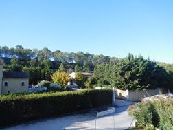 Photo n°5