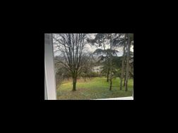Photo n°2
