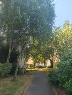 Photo n°1
