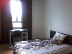 Photo n°5