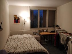 Photo n°5