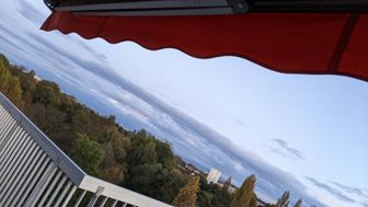 Photo n°4