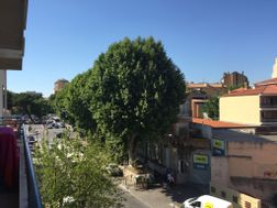 Photo n°3