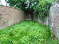 Photo n°6
