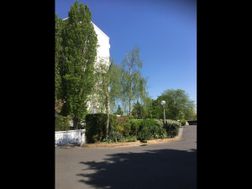 Photo n°4