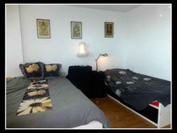 Photo n°1