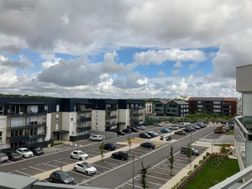 Photo n°4