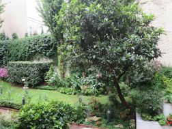 Photo n°4