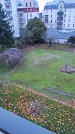 Photo n°3