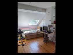 Photo n°2