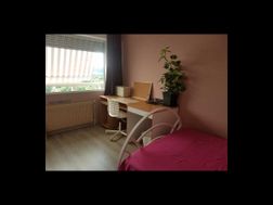 Photo n°2