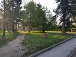 Photo n°4