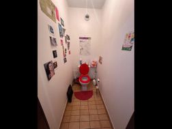 Photo n°6