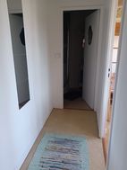 Photo n°6