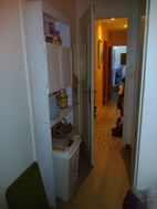 Photo n°4