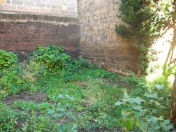 Photo n°3