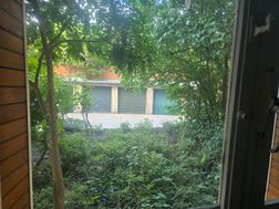 Photo n°6