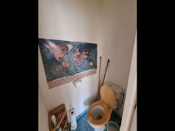 Photo n°5