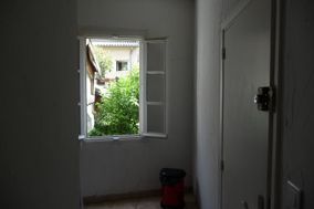 Photo n°8