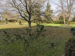 Photo n°2