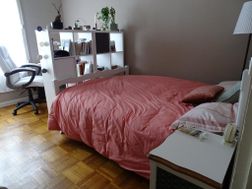 Photo n°1